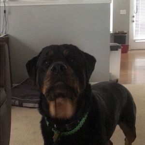 Meet your Posher, Madi